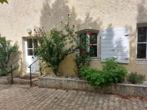 Maisons de vacances La cambuse des gones - Gite 3 chambres : photos des chambres