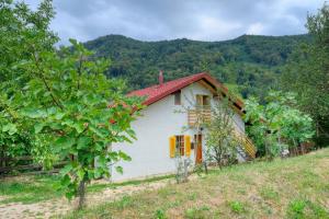 Cottage surrounded by forests - The Sunny Hill