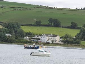 The Teifi Waterside Hotel