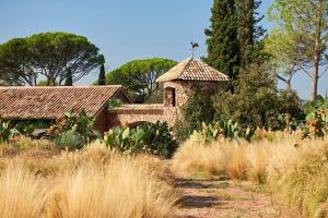 Hotels Chateau Saint Roux Le Luc-Le Cannet des Maures : photos des chambres