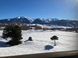 Appartements face aux montagnes : photos des chambres