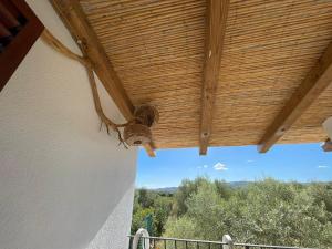 Agriturismo "PIRASTRERI" img18