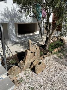 Agriturismo "PIRASTRERI" img20