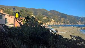 Palme CloseToGigante Junior Suites