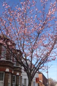 CHARMING ENGLISH STYLE STUDIO FLAT