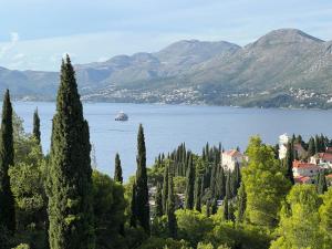 Blue Room and Private Bathroom