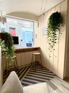 Appartements Espace Le Cheval Blanc : photos des chambres