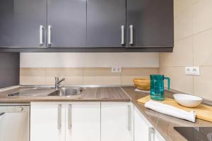 Spacious flat puerta del sol