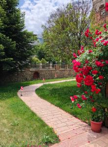 Ozymandias Attic - Kalavrita