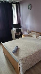Sejours chez l'habitant Chambre privee, proche Aeroport PARIS-Orly : photos des chambres