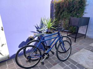 LA MORA alojamiento en Tandil