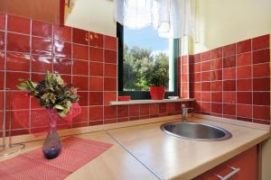 Apartments by the sea Vela Luka, Korcula - 9244