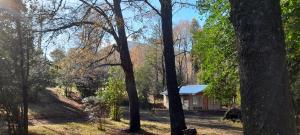 Cabañas Nehuen Coyan