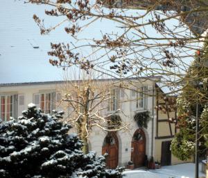 Appartements La Maison des Fontaines d'Alsace : photos des chambres