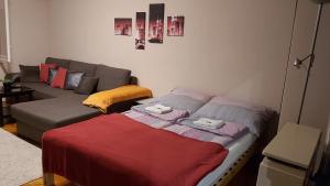 Tisza-parti Napfény Apartman