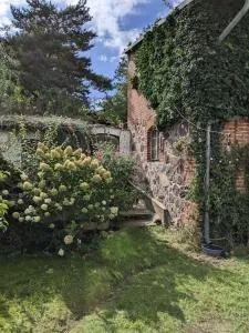 Große Ferienwohnung in Flecken Zechlin - 采希林多夫