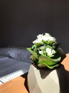 Pensiunea Violin Panzió