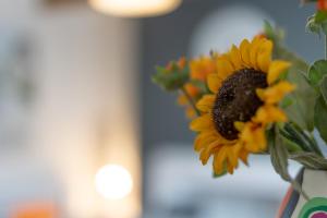 Ocean Cottage - Walk to Beach Countryside Views