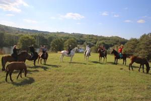 Козацька Фортеця