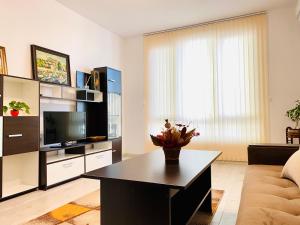 City Center 2-bedroom cosy apartment