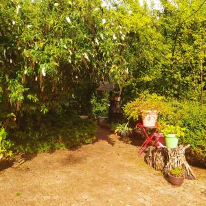 Tentes de luxe CABANE CERISE DANS L'ARBRE Etapeboisee : Tente