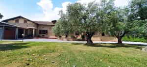 Casolare LAntico Olivo