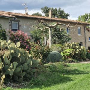 Maisons de vacances Les Figuets : photos des chambres