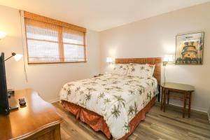 Sand Dollar 1-202 - Ubytování bez kategorie ve městě St. Augustine