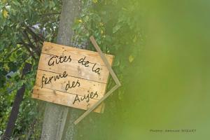 Gîte familial ferme des aujes falaen