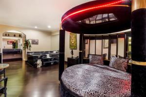 One King Bed Jacuzzi  room in Americas Best Value Platinum Inn & Suites