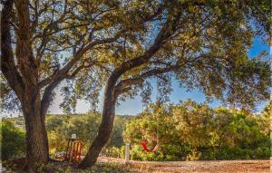 Cozy Home In Estepa With Kitchen