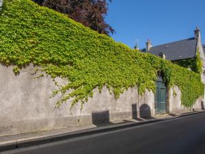 Appartements Beautiful apartment in the historic center of Bayeux : photos des chambres
