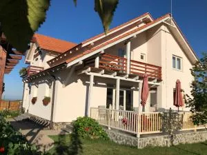 Pensiunea Artemis - 上森伯塔乡