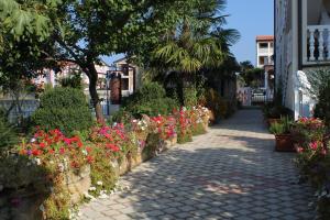 Apartment Novigrad 7037b