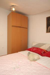 Apartments with a parking space Novigrad - 7037