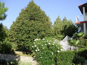 Apartment Labin 7468b