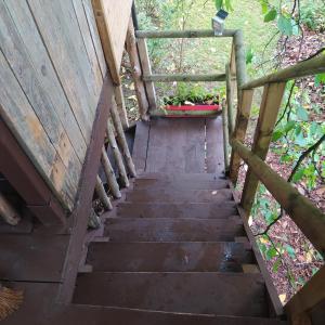 Tentes de luxe CABANE CERISE DANS L'ARBRE Etapeboisee : photos des chambres