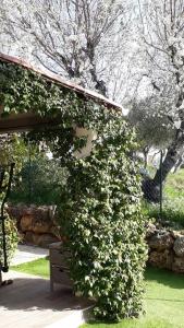 maison 2 ou 4 personnes jardin parking LES AMANDIERS