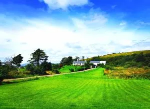 New Listing - Ladybird Cottage - Donegal - Wild Atlantic Way - Drumgorman