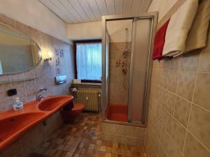Ferienhaus-Schönwald im Herzen des Schwarzwaldes 1ZimmerWohnung+Balkon App7