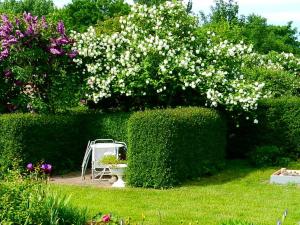FeWo WE 6402 Ferien u Angeln auf Rügen-ruhige Lage,Garten!