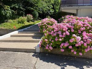 Appartements Trouville, appartement renove avec grande terrasse au calme : photos des chambres