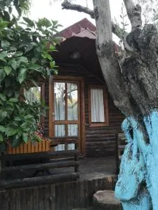 Zeytindağı bungalow - 巴勒克埃西尔