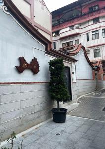 Xinqin B&B - City Area