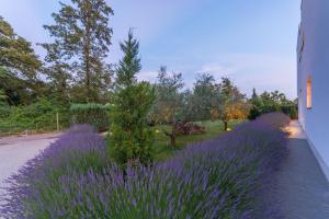 Villa Kate Istria 