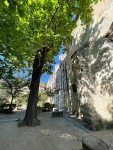 Charmant Studio, Centre historique, Carmes