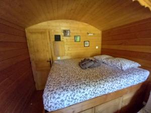 Maisons de vacances L'Oasis Des Pyrenees : photos des chambres