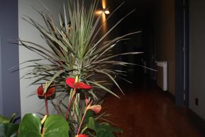 ArsDurium Douro hotel