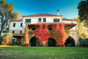 Lugar da Pedra Alta - B&B - Private Historical Villa