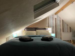 Appartements Le Nid d'Amour 2pers / wifi / sauna : photos des chambres